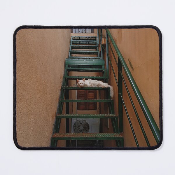 Item preview, Kitten on the stairs designed and sold by Selena' s Studios .