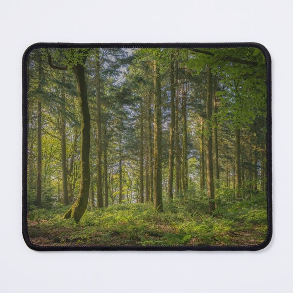 Item preview, Summer Woodland Landscape designed and sold by JoSowden.