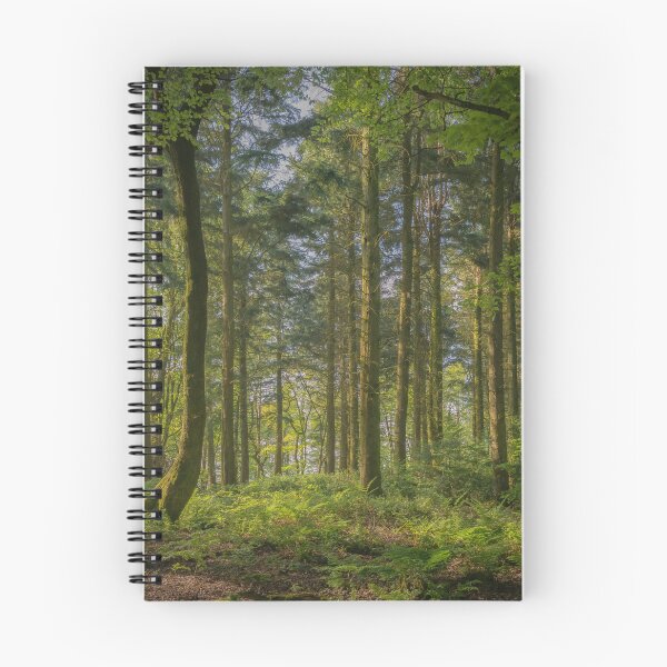 Item preview, Summer Woodland Landscape designed and sold by JoSowden.