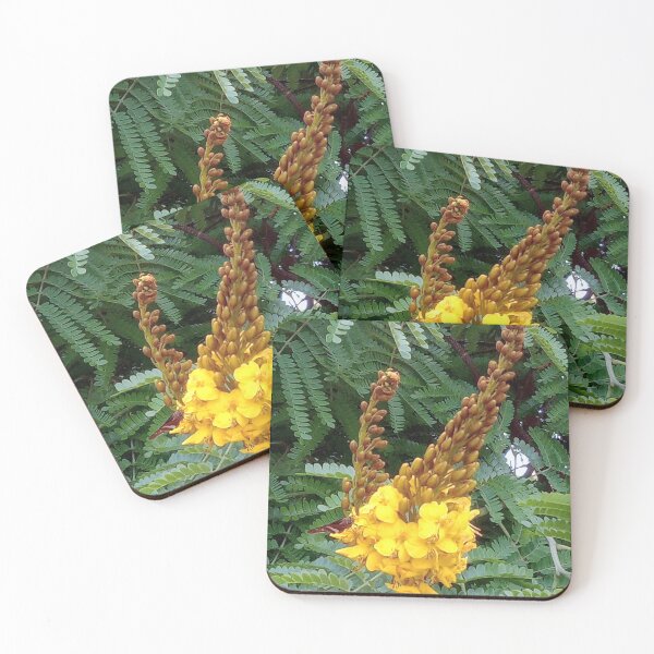 Item preview, Naturaleza  designed and sold by ArSu14.