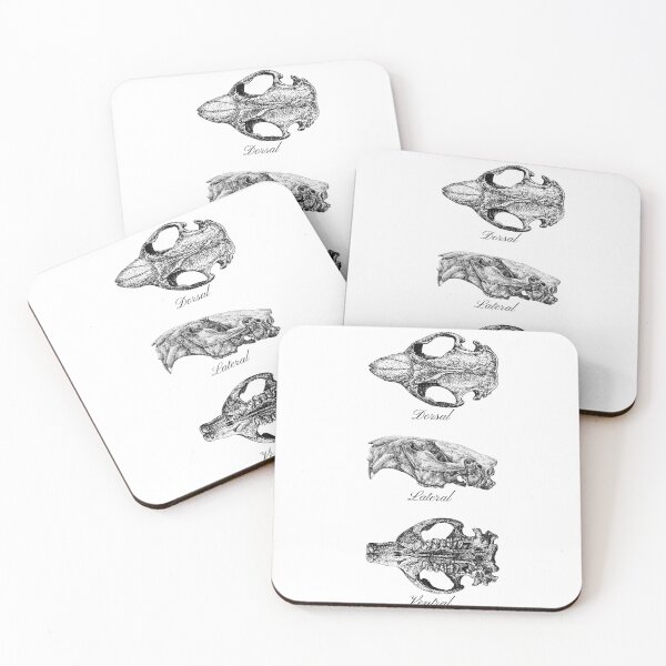 Item preview, Beaver skulls in pen and ink designed and sold by Drawinism.