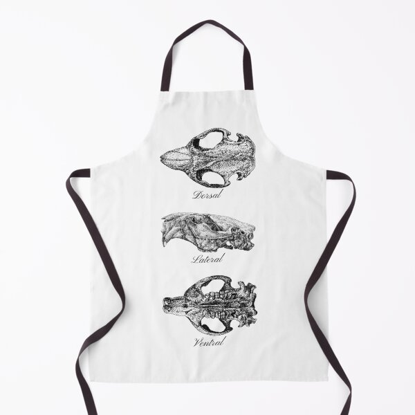 Item preview, Beaver skulls in pen and ink designed and sold by Drawinism.