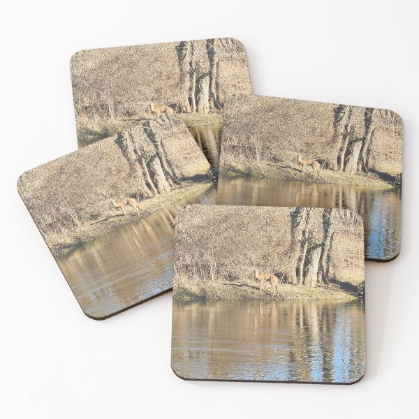Item preview, Ohio Deer by the Cuyahoga Riverbank designed and sold by Lilcheerpea.