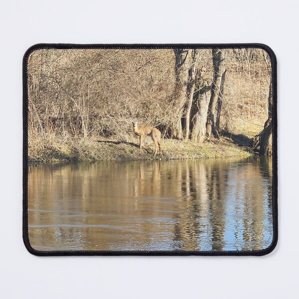 Item preview, Ohio Deer by the Cuyahoga Riverbank designed and sold by Lilcheerpea.