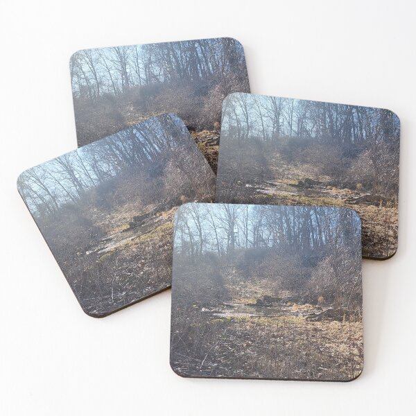 Item preview, Spring Woodland Along the Cuyahoga River designed and sold by Lilcheerpea.