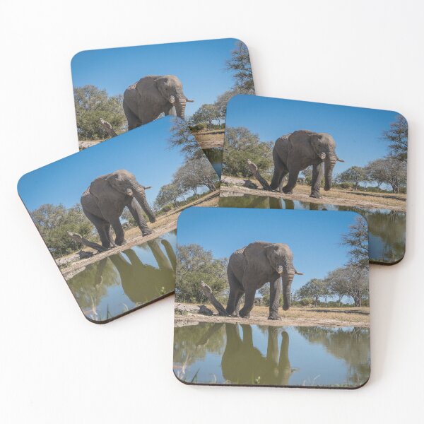 Item preview, Reflection of Elephant in Hwange designed and sold by JoSowden.