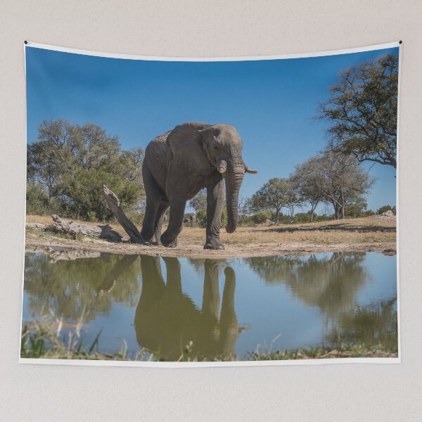 Item preview, Reflection of Elephant in Hwange designed and sold by JoSowden.
