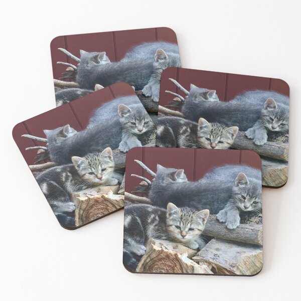 Item preview, Woodpile kittens designed and sold by Bearbunz.