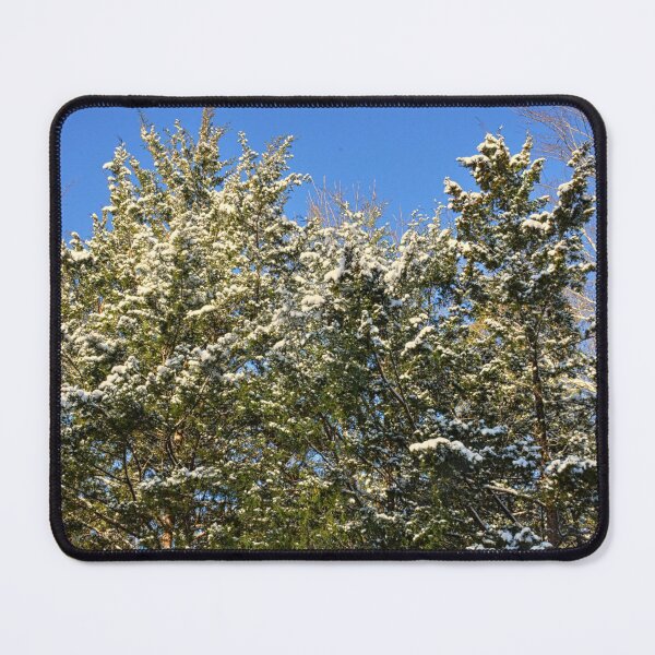Item preview, Snow-Covered Evergreens designed and sold by LisaWootenPhoto.