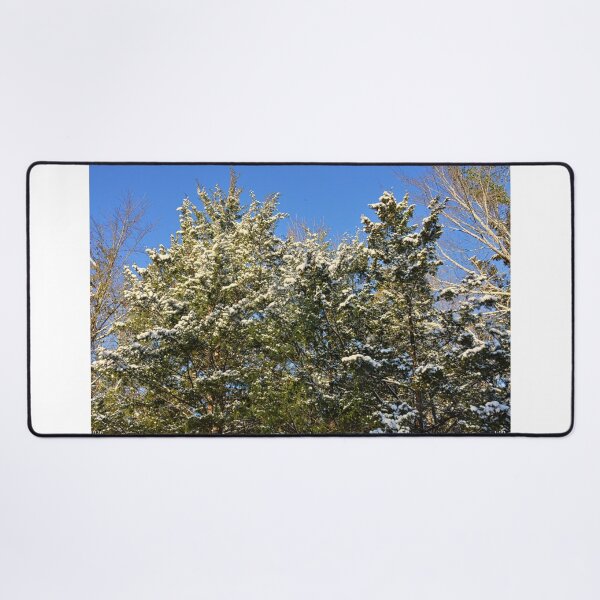 Item preview, Snow-Covered Evergreens  designed and sold by LisaWootenPhoto.