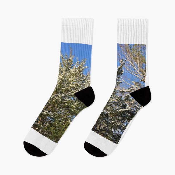 Item preview, Snow-Covered Evergreens  designed and sold by LisaWootenPhoto.