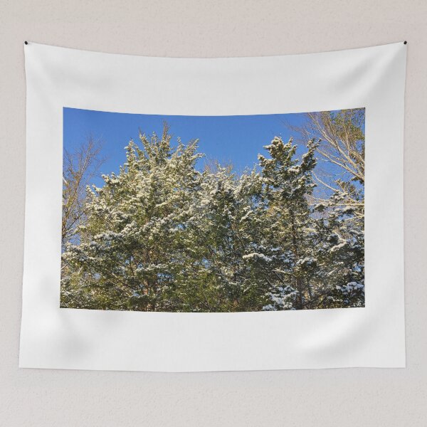 Item preview, Snow-Covered Evergreens  designed and sold by LisaWootenPhoto.