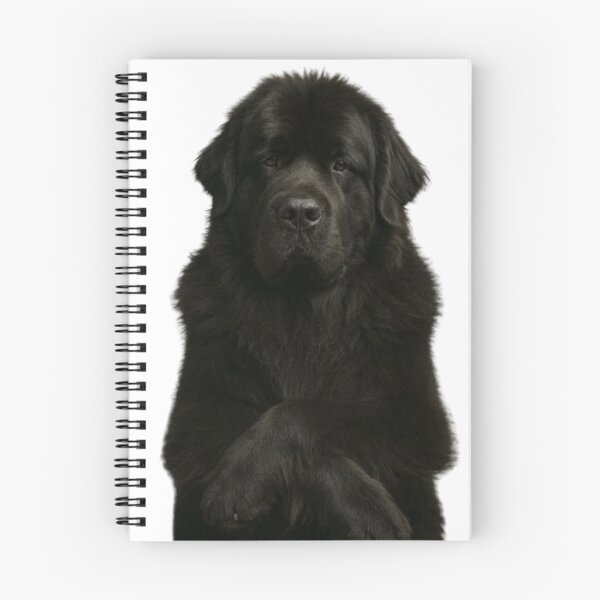 Item preview, Newfoundland designed and sold by TodeNina.