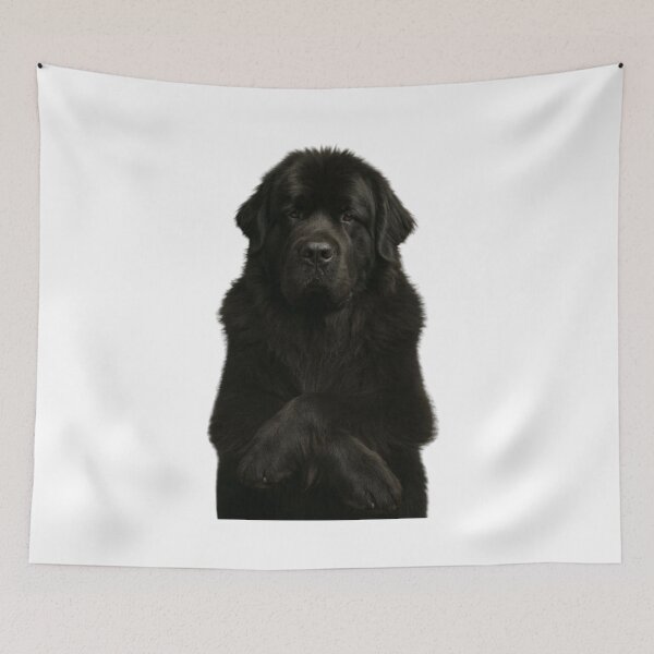 Item preview, Newfoundland designed and sold by TodeNina.