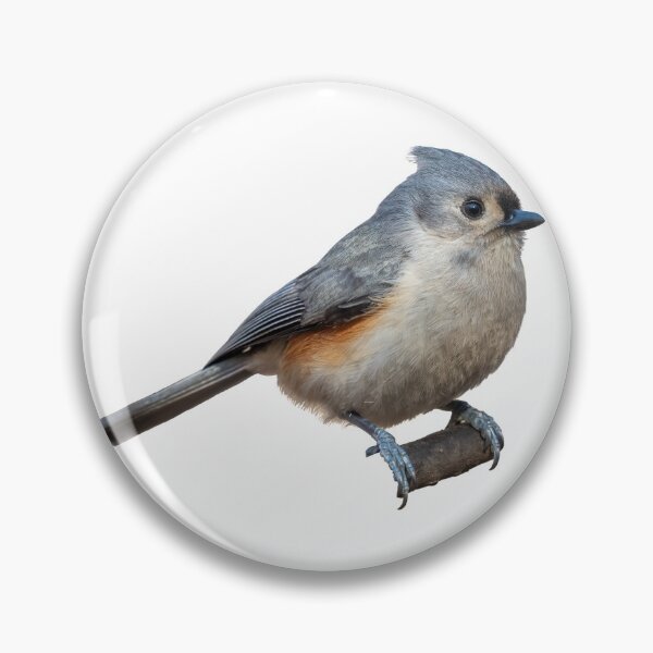 Item preview, Tufted Titmouse designed and sold by kyra0nicole.