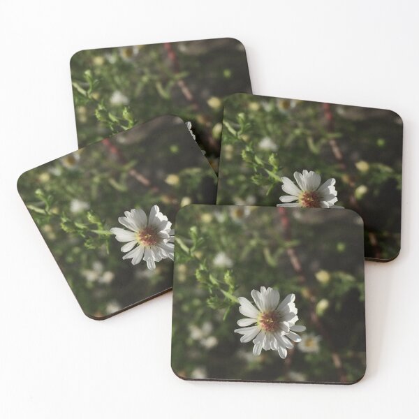 Item preview, wildflower photograph designed and sold by GiSilver.