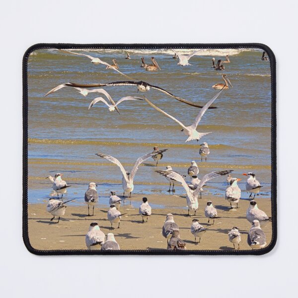 Item preview, Seagulls and Pelicans on Hilton Head Beach designed and sold by LisaWootenPhoto.