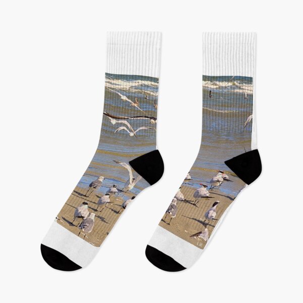 Item preview, Seagulls and Pelicans on Hilton Head Beach designed and sold by LisaWootenPhoto.