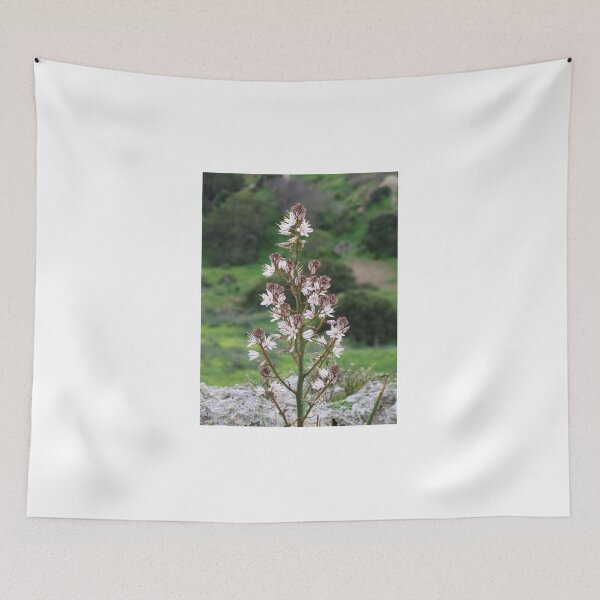 Item preview, White Wildflower Blooming on Tall Stem in Green Meadow Landscape Close-Up Photography designed and sold by Nmallia.