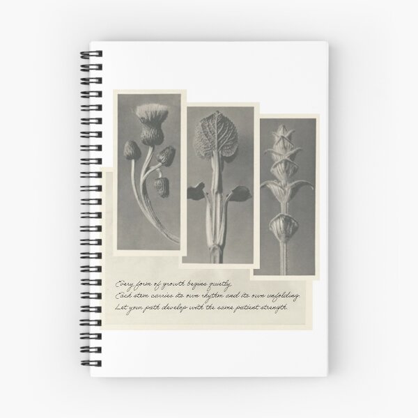 Item preview, Quiet Forms of Growth – Botanical Triptych Illustration designed and sold by sorryNOTsorry.brand.