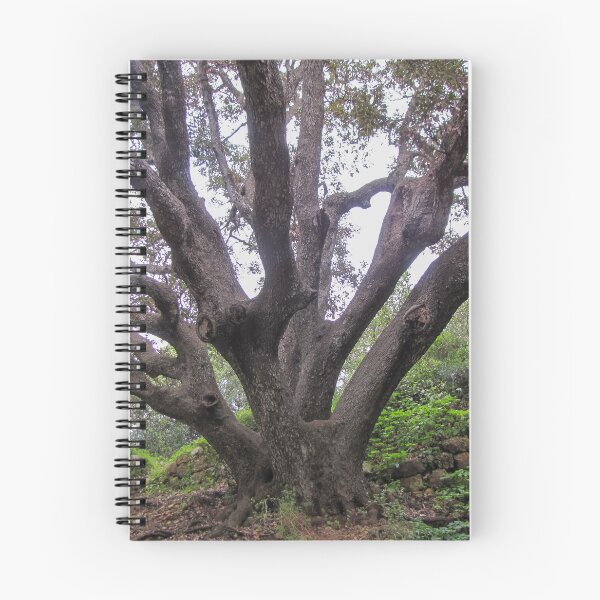 Item preview, Majestic Ancient Oak Tree With Spreading Branches in Lush Green Woodland Near Stone Wall designed and sold by Nmallia.