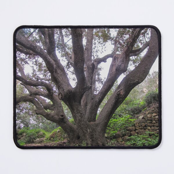Item preview, Majestic Ancient Oak Tree With Spreading Branches in Lush Green Woodland Near Stone Wall designed and sold by Nmallia.