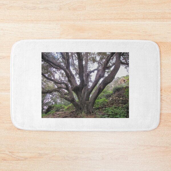 Item preview, Majestic Ancient Oak Tree With Spreading Branches in Lush Green Woodland Near Stone Wall designed and sold by Nmallia.
