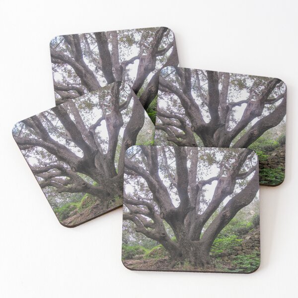 Item preview, Majestic Ancient Oak Tree With Spreading Branches in Lush Green Woodland Near Stone Wall designed and sold by Nmallia.