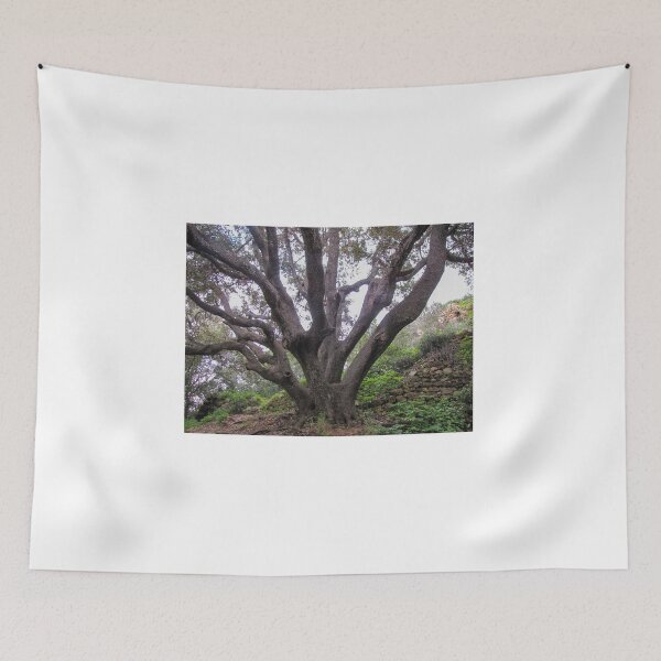 Item preview, Majestic Ancient Oak Tree With Spreading Branches in Lush Green Woodland Near Stone Wall designed and sold by Nmallia.