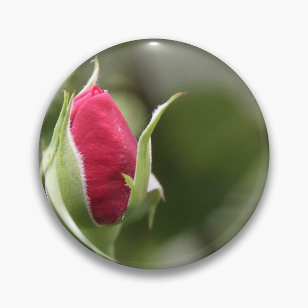 Item preview, Rose Bud designed and sold by Gail Jones.