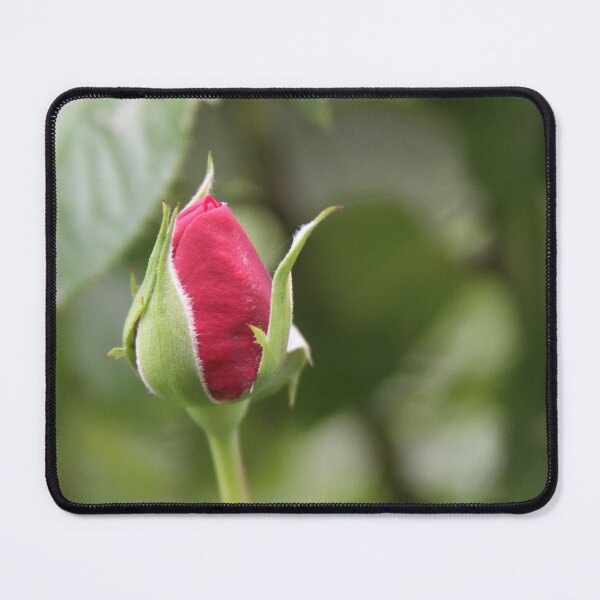 Item preview, Rose Bud designed and sold by Gail Jones.