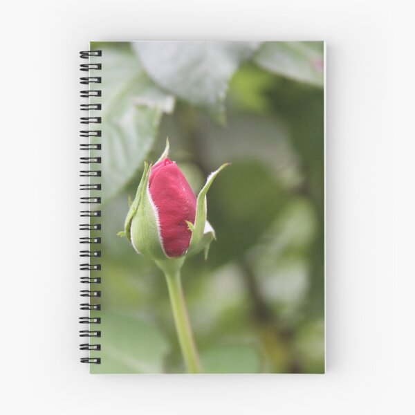 Item preview, Rose Bud designed and sold by Gail Jones.