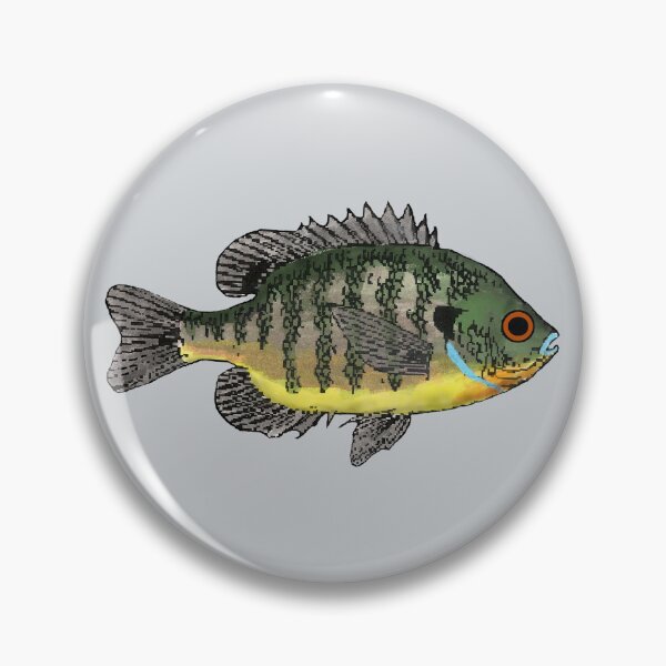 Artikelvorschau, Bluegill Sunfish entworfen und verkauft von fishfolkart.
