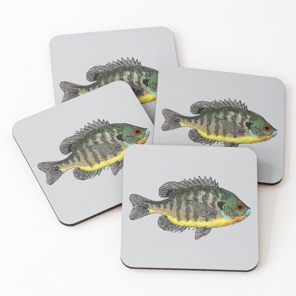 Item preview, Bluegill Sunfish designed and sold by fishfolkart.
