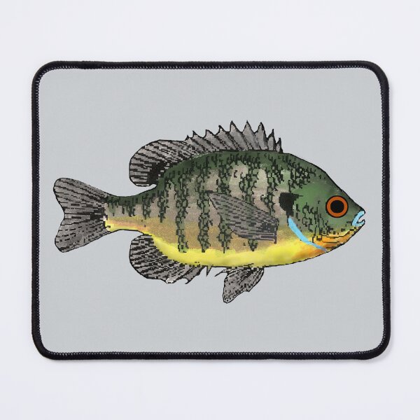 Item preview, Bluegill Sunfish designed and sold by fishfolkart.