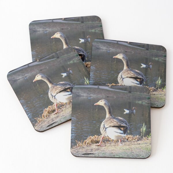 Item preview, Goose posing amusingly designed and sold by Deniis2204.