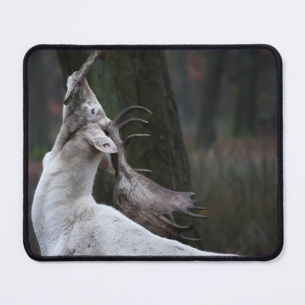 Item preview, A white deer rubs itself against a tree designed and sold by Deniis2204.