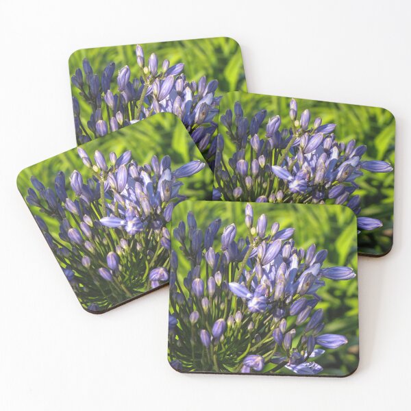 Item preview, Purple Agapanthus Buds And Blooms Close-Up In Sunny Garden With Green Leaves Background designed and sold by Nmallia.
