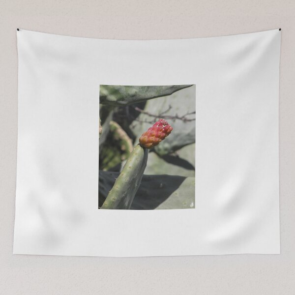 Item preview, Close-Up Of Prickly Pear Cactus Fruit On Opuntia Pad In Sunlit Desert Vegetation designed and sold by Nmallia.