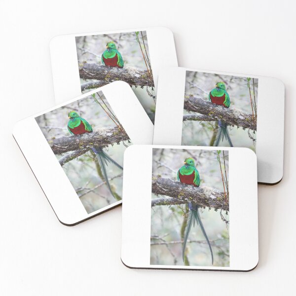 Item preview, Resplendent Quetzal designed and sold by James Cumming.