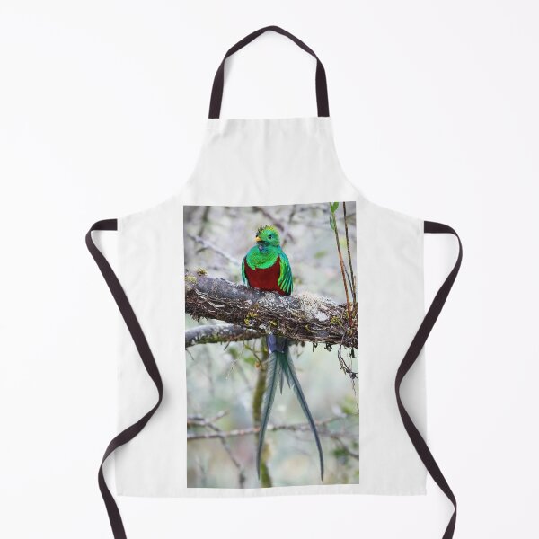 Item preview, Resplendent Quetzal designed and sold by James Cumming.