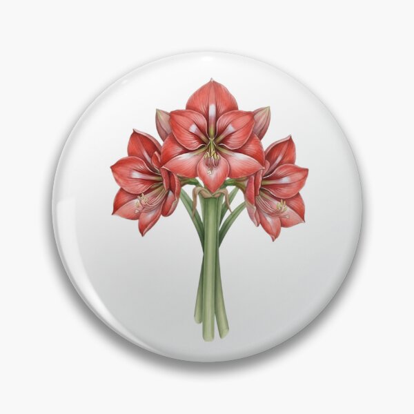 Item preview, Amaryllis designed and sold by Avenelle.