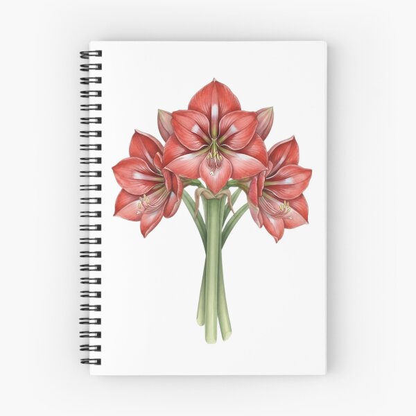 Item preview, Amaryllis designed and sold by Avenelle.