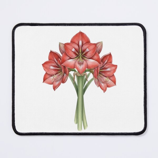 Item preview, Amaryllis designed and sold by Avenelle.