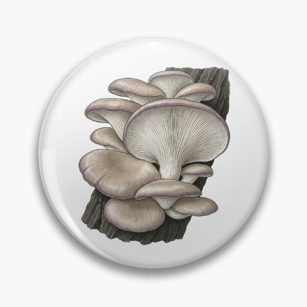 Item preview, Oyster Mushroom designed and sold by Chaoscience.