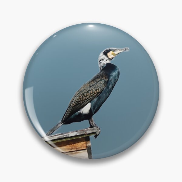 Item preview, Close-up of a cormorant sitting on a nesting box. designed and sold by NaturePhotography.