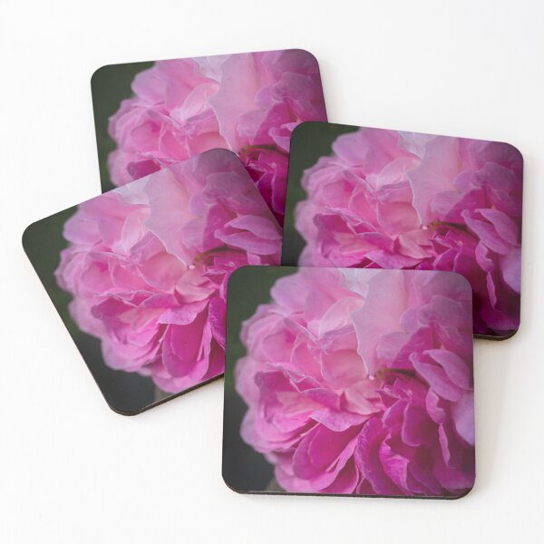 Item preview, Romantic Pink Peony Flower Macro , Soft Floral Botanical Photography designed and sold by JSFrame.