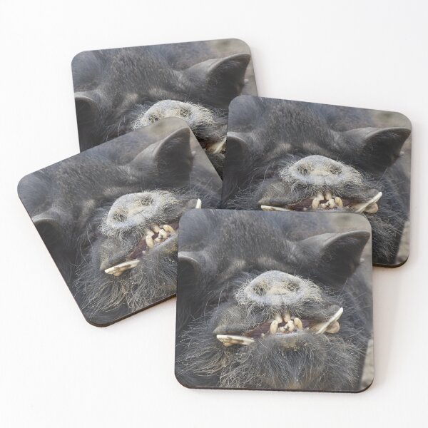 Item preview, Happy pig designed and sold by Lynalinalee Photography .