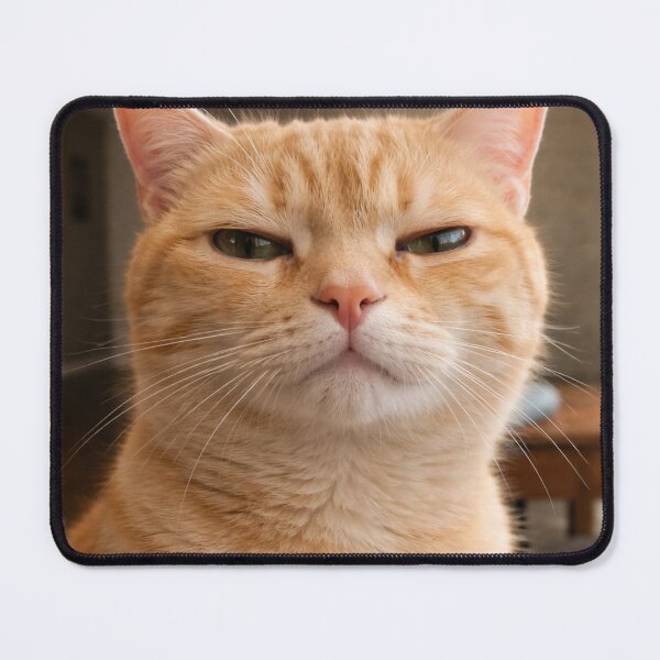 Item preview, kinda sus designed and sold by Costi-0.