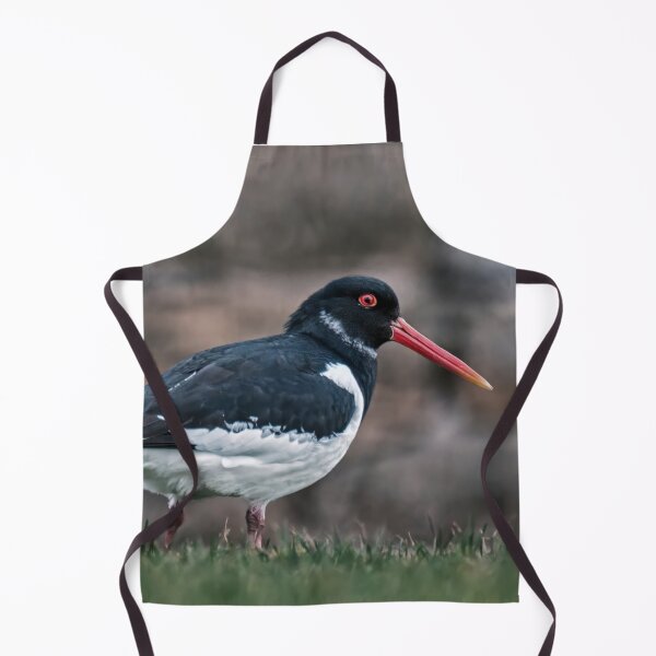 Item preview, Oystercatcher designed and sold by Tom McPherson Photography.